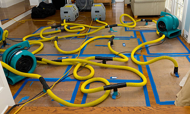 Professional Sewage Cleanup technician working in Allendale, NJ